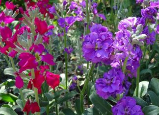 Ne craignez pas les différences