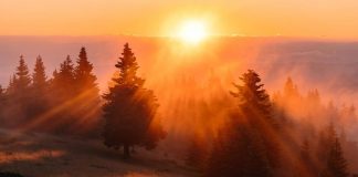 Un Regard sur le Va-et-Vient