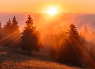 C’est une Période de Croissance Considérable