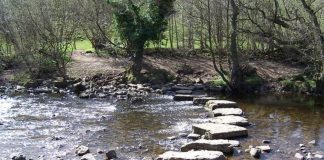 Le Créateur – Un Pas en avant