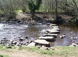 Le Créateur – Tout