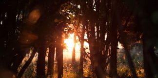 Zoom sur le Rayonnement