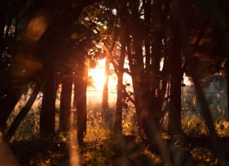 Zoom sur le Rayonnement