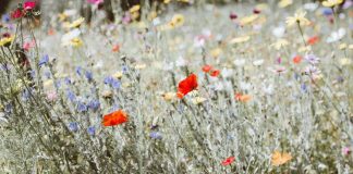 Vous avez un rôle à jouer