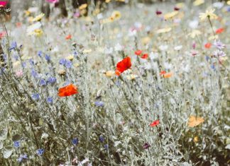 Vous avez un rôle à jouer
