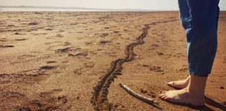 Le Créateur – La décision vous appartient