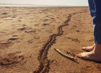 Le Créateur – La décision vous appartient