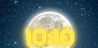 10:10, Portail des Maîtres, les derniers coups d’échecs sont joués