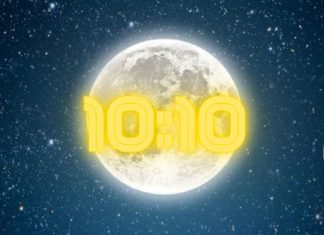 10:10, Portail des Maîtres, les derniers coups d’échecs sont joués