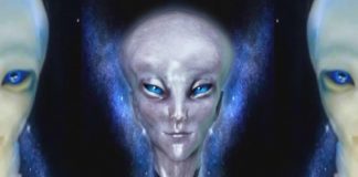 La Société Arcturienne telle qu’elle Vit