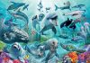 Souvenez-vous des Baleines, Dauphins et Toutes les Créatures de la Mer