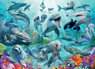 Souvenez-vous des Baleines, Dauphins et Toutes les Créatures de la Mer