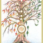 Carte 10 – Le libre Choix