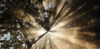 Entraîner votre regard sur la Lumière