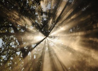 Entraîner votre regard sur la Lumière