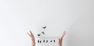 Le Créateur – Libre arbitre