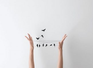 Le Créateur – Libre arbitre