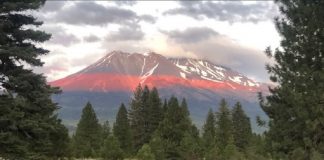 La Puissante Grâce du Féminin Divin