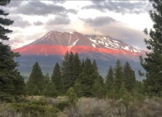 La Puissante Grâce du Féminin Divin