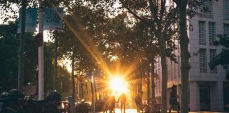 Rester à la maison en Guidance