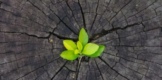 Le Créateur – Possibilité