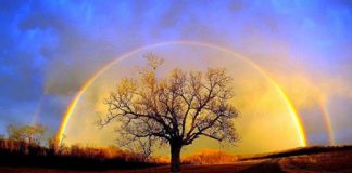 Message de Marie du 25 octobre 2020