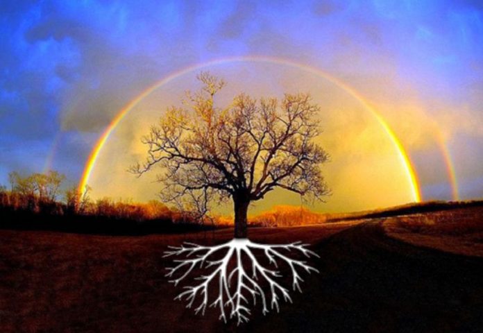 arbre-racines-ciel
