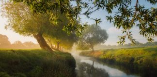 Le Flux partout, dans tout le monde