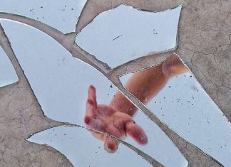 La sortie de la pensée fragmentée