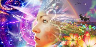 La Vie sur la Nouvelle Terre : Manifestation de la nouvelle réalité