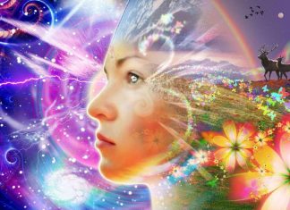 La Vie sur la Nouvelle Terre : Trésor de connaissances Divines