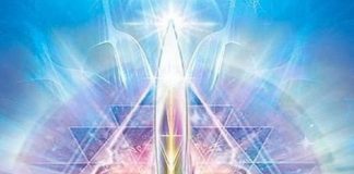 Recherchez le Royaume du Créateur Avant Tout