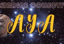 Collectif Pléïadien : Vous Pouvez Faire Une Différence