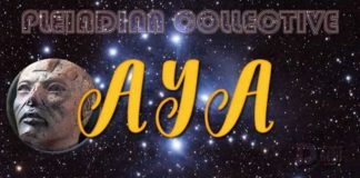 Collectif Pléïadien : Un Moment pour Apprendre