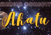 Collectif Pléïadien : Passer du Temps dans la Nature