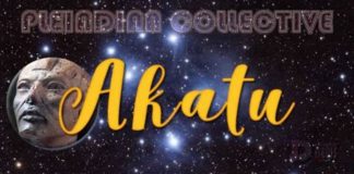 Collectif Pléïadien : Moments de Découverte