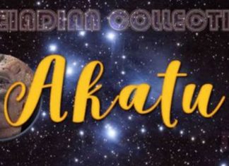 Collectif Pléïadien : Passer du Temps dans la Nature