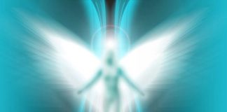 Le Créateur – Création Parfaite