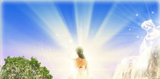 Vous êtes en train de re-déployer votre Lumière