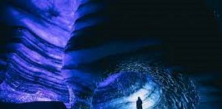 Le Créateur – Échos