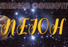 Collectif Pléïadien : Changer de perspective