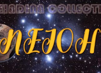 Collectif Pléïadien : Changer de perspective