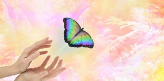 Pour vous Élever en 5D, revoyez vos priorités !