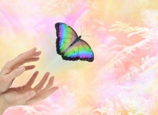 Pour vous Élever en 5D, revoyez vos priorités !