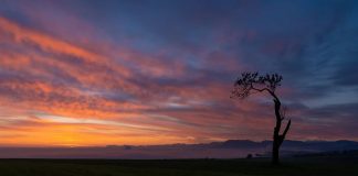 QUAND SONNE LE TOCSIN