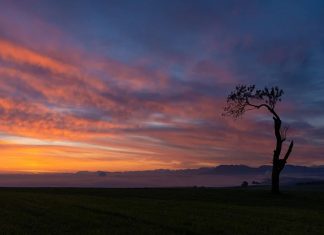 QUAND SONNE LE TOCSIN