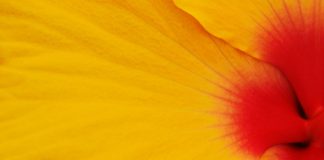 Tout commence à être parfait