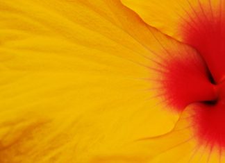 Tout commence à être parfait