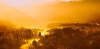 Le Créateur – Un Voyage Glorieux