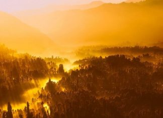 Le Créateur – Un Voyage Glorieux